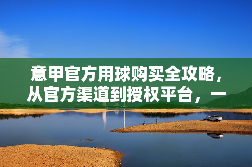意甲官方用球购买全攻略,从官方渠道到授权平台,一文搞定,意甲官方用球购买全攻略,官方渠道到授权平台一文搞定
