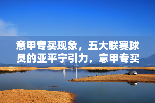 意甲专买现象,五大联赛球员的亚平宁引力,意甲专买,五大联赛球员的亚平宁引力
