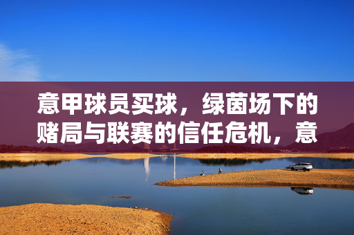 意甲球员买球，绿茵场下的赌局与联赛的信任危机，意甲球员买球，绿茵场下的赌局与联赛信任危机