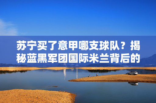 苏宁买了意甲哪支球队？揭秘蓝黑军团国际米兰背后的商业棋局，苏宁购国际米兰，蓝黑军团背后的商业棋局