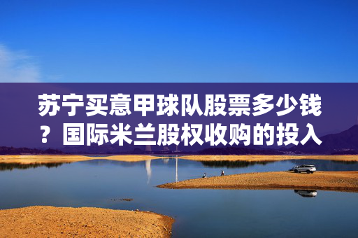 苏宁买意甲球队股票多少钱？国际米兰股权收购的投入与沉浮，苏宁国际米兰股权收购，投入与沉浮