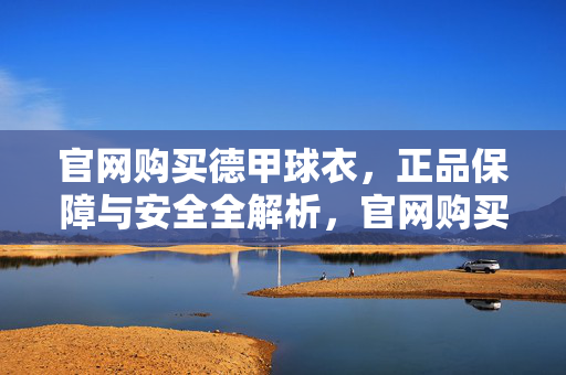 官网购买德甲球衣，正品保障与安全全解析，官网购买德甲球衣，正品保障与安全全解析