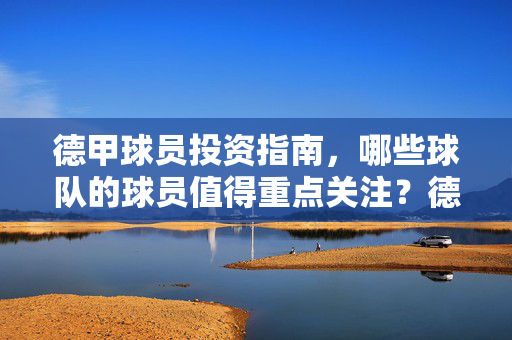 德甲球员投资指南，哪些球队的球员值得重点关注？德甲球员投资指南，值得关注的球队球员