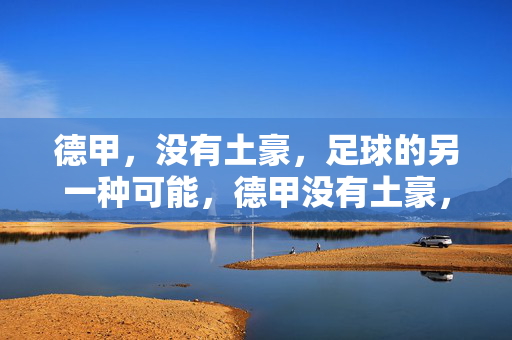 德甲，没有土豪，足球的另一种可能，德甲没有土豪，足球的另一种可能