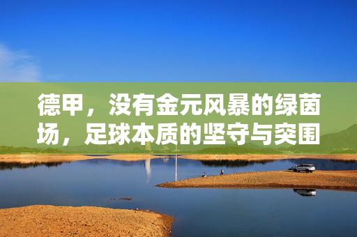 德甲，没有金元风暴的绿茵场，足球本质的坚守与突围，德甲，无金元风暴的绿茵场，足球本质的坚守与突围
