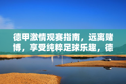 德甲激情观赛指南，远离赌博，享受纯粹足球乐趣，德甲观赛指南，远离赌博，畅享纯粹足球激情