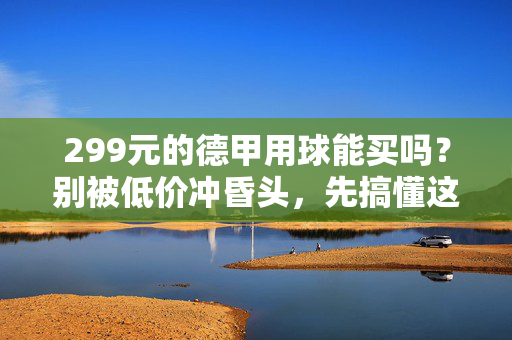 299元的德甲用球能买吗？别被低价冲昏头，先搞懂这3件事，别被低价冲昏头！299元德甲用球，先搞懂这3件事