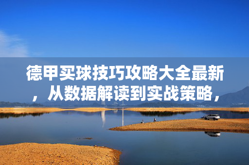 德甲买球技巧攻略大全最新，从数据解读到实战策略，助你精准投注，德甲最新买球技巧攻略，从数据解读到实战策略，精准投注指南