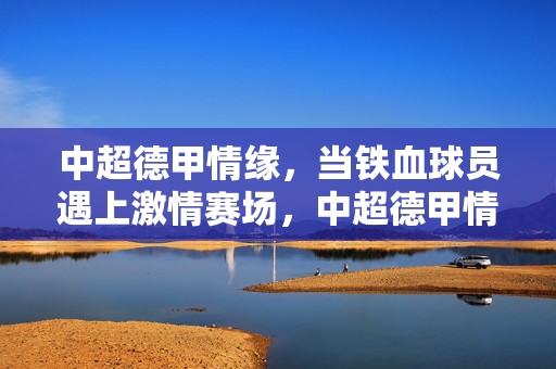 中超德甲情缘，当铁血球员遇上激情赛场，中超德甲情缘，铁血球员的激情赛场