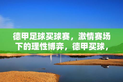 德甲足球买球赛，激情赛场下的理性博弈，德甲买球，激情赛场中的理性博弈