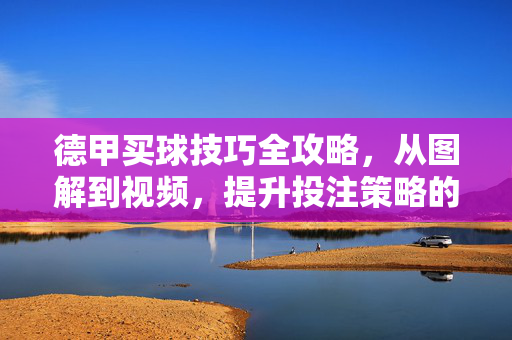 德甲买球技巧全攻略,从图解到视频,提升投注策略的实用指南,德甲买球技巧全攻略,图解视频助你提升投注策略