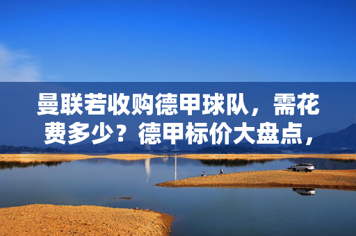 曼联若收购德甲球队，需花费多少？德甲标价大盘点，曼联收购德甲球队成本，德甲球队标价大盘点