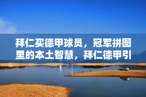 拜仁买德甲球员，冠军拼图里的本土智慧，拜仁德甲引援，冠军拼图的本土智慧