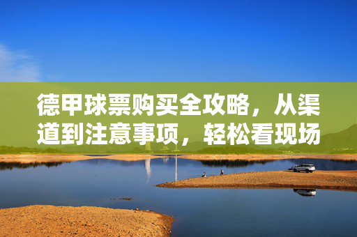 德甲球票购买全攻略，从渠道到注意事项，轻松看现场，德甲球票购买全攻略，从渠道到注意事项，轻松看现场