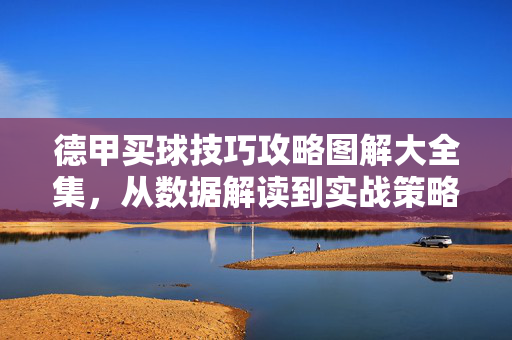 德甲买球技巧攻略图解大全集，从数据解读到实战策略，新手也能精准下注，德甲买球技巧攻略图解，新手精准下注实战指南