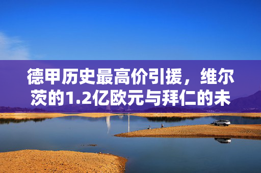 德甲历史最高价引援，维尔茨的1.2亿欧元与拜仁的未来豪赌，德甲历史最高价引援维尔茨，1.2亿欧元豪赌拜仁未来