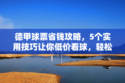 德甲球票省钱攻略,5个实用技巧让你低价看球,轻松享受现场激情,德甲球票省钱攻略,低价看球,畅享现场激情