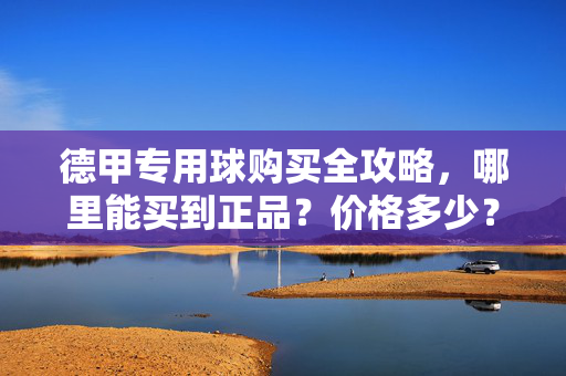 德甲专用球购买全攻略,哪里能买到正品?价格多少?德甲专用球购买全攻略,正品渠道与价格一览