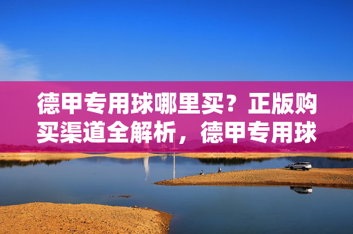 德甲专用球哪里买？正版购买渠道全解析，德甲专用球正版购买渠道全解析