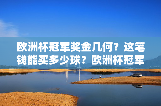 欧洲杯冠军奖金几何?这笔钱能买多少球?欧洲杯冠军奖金能买多少球?