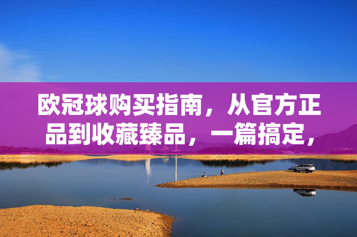 欧冠球购买指南，从官方正品到收藏臻品，一篇搞定，欧冠球购买全攻略，从官方正品到收藏臻品，一篇搞定