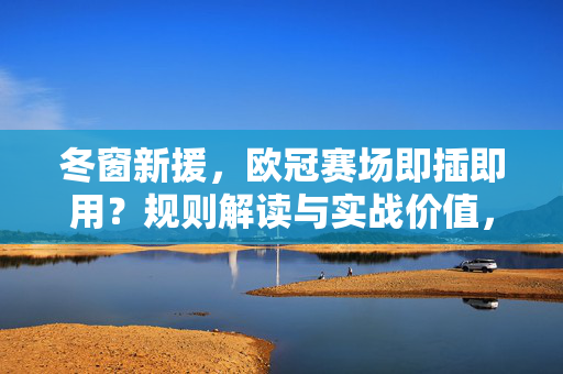 冬窗新援，欧冠赛场即插即用？规则解读与实战价值，冬窗新援欧冠即插即用，规则解读与实战价值