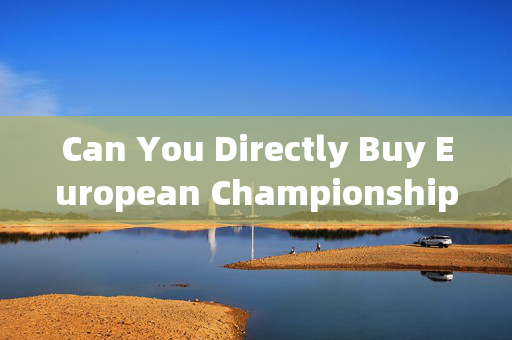 Can You Directly Buy European Championship Winner Jerseys? A Fan’s Guide，欧洲冠军队球衣直接购买指南