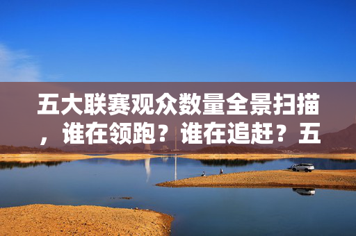 五大联赛观众数量全景扫描，谁在领跑？谁在追赶？五大联赛观众数量全景扫描，领跑者与追赶者