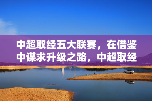 中超取经五大联赛，在借鉴中谋求升级之路，中超取经五大联赛，谋求升级之路