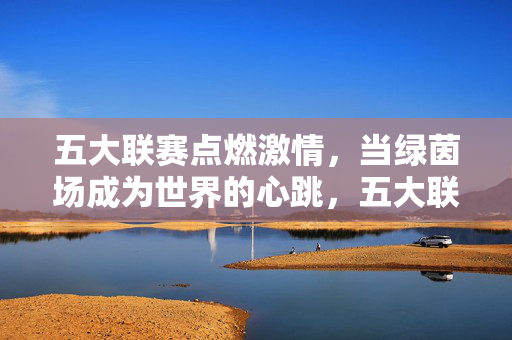 五大联赛点燃激情,当绿茵场成为世界的心跳,五大联赛,绿茵场上的世界心跳