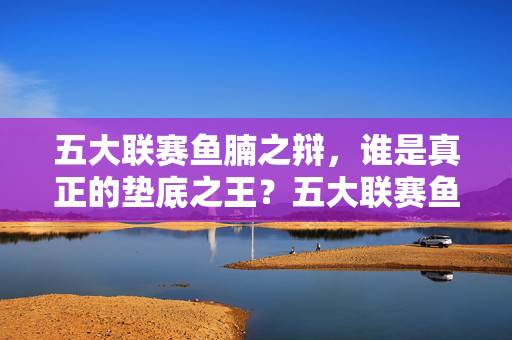 五大联赛鱼腩之辩，谁是真正的垫底之王？五大联赛鱼腩之争，谁是真正的垫底之王？