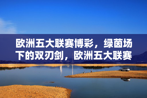 欧洲五大联赛博彩，绿茵场下的双刃剑，欧洲五大联赛博彩，绿茵场下的双刃剑