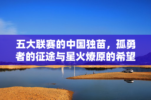 五大联赛的中国独苗，孤勇者的征途与星火燎原的希望，五大联赛中国独苗，孤勇征途与星火燎原