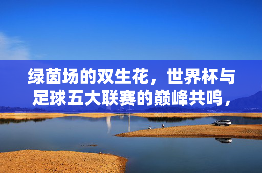 绿茵场的双生花,世界杯与足球五大联赛的巅峰共鸣,绿茵双生花,世界杯与五大联赛的巅峰共鸣