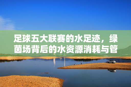 足球五大联赛的水足迹，绿茵场背后的水资源消耗与管理，足球五大联赛的水足迹，绿茵场水资源消耗与管理
