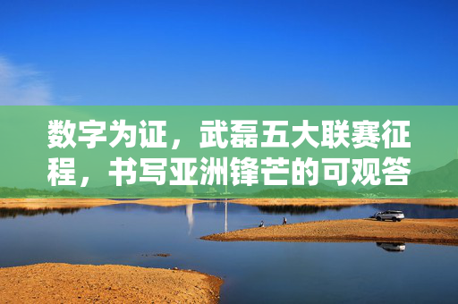 数字为证,武磊五大联赛征程,书写亚洲锋芒的可观答卷,数字为证,武磊五大联赛征程书写亚洲锋芒答卷