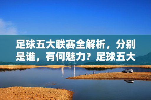 足球五大联赛全解析,分别是谁,有何魅力?足球五大联赛全解析,五大联赛身份与魅力揭秘