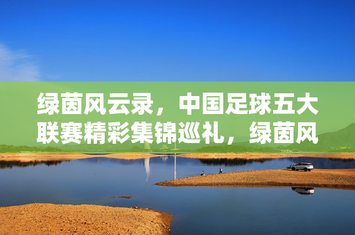 绿茵风云录,中国足球五大联赛精彩集锦巡礼,绿茵风云录,中国足球五大联赛精彩集锦巡礼