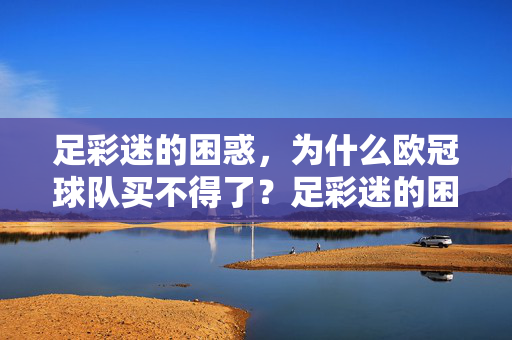 足彩迷的困惑,为什么欧冠球队买不得了?足彩迷的困惑,欧冠球队为何买不得了?