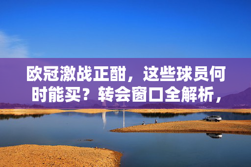 欧冠激战正酣，这些球员何时能买？转会窗口全解析，欧冠激战正酣，转会窗口全解析，这些球员何时能买？
