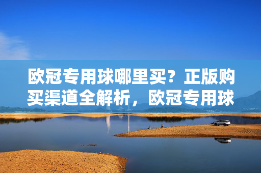 欧冠专用球哪里买?正版购买渠道全解析,欧冠专用球正版购买渠道全解析