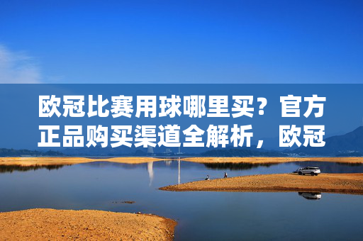 欧冠比赛用球哪里买？官方正品购买渠道全解析，欧冠比赛用球官方正品购买渠道全解析