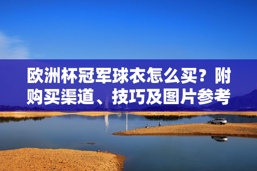 欧洲杯冠军球衣怎么买？附购买渠道、技巧及图片参考，欧洲杯冠军球衣购买攻略，渠道、技巧及图片参考