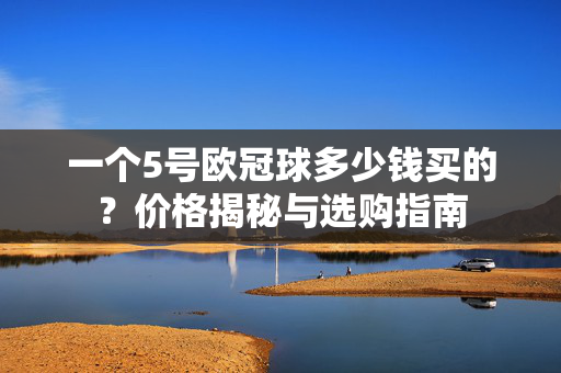一个5号欧冠球多少钱买的？价格揭秘与选购指南