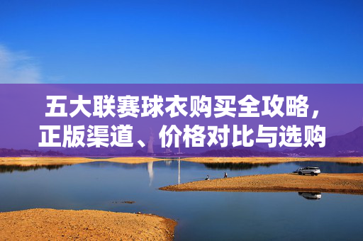 五大联赛球衣购买全攻略，正版渠道、价格对比与选购指南，五大联赛球衣购买全攻略