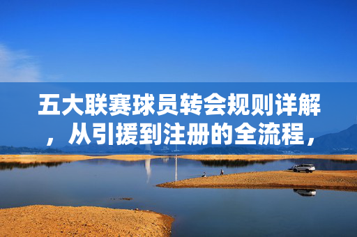 五大联赛球员转会规则详解，从引援到注册的全流程，五大联赛球员转会规则全流程详解，从引援到注册