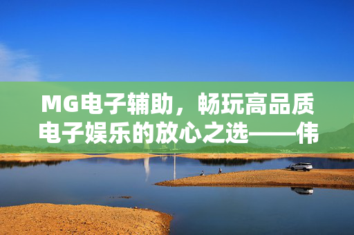 MG电子辅助，畅玩高品质电子娱乐的放心之选——伟创网络科技引领行业新体验，伟创网络科技，MG电子辅助，引领高品质电子娱乐放心新体验