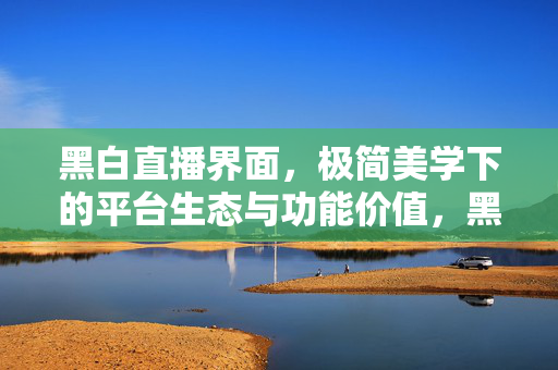 黑白直播界面,极简美学下的平台生态与功能价值,黑白极简,直播界面的美学设计与生态价值