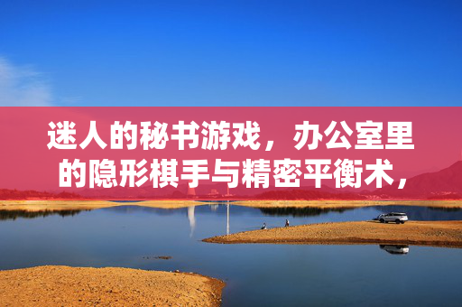 迷人的秘书游戏，办公室里的隐形棋手与精密平衡术，办公室隐形棋手，秘书的精密平衡术