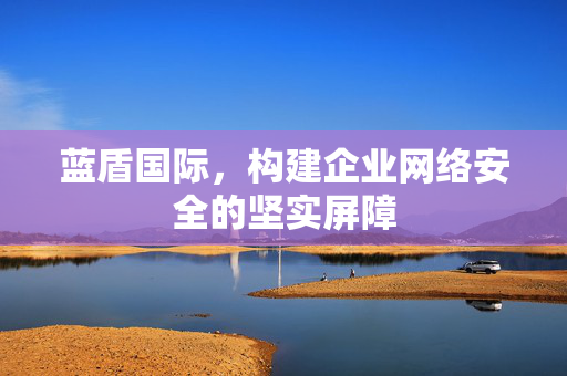 蓝盾国际，构建企业网络安全的坚实屏障